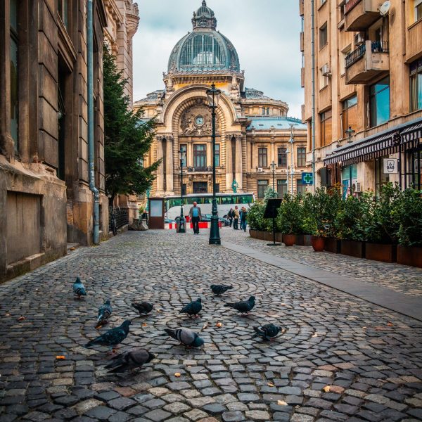 Bucarest &  Timisoara